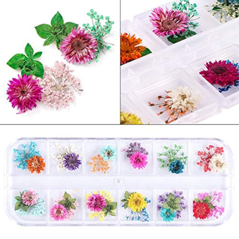 2 Boxes Dried Flowers (24 Colors) (Real Natural Flowers)-JAYDEN- Nail Supply American Gel Polish - Phuong Ni