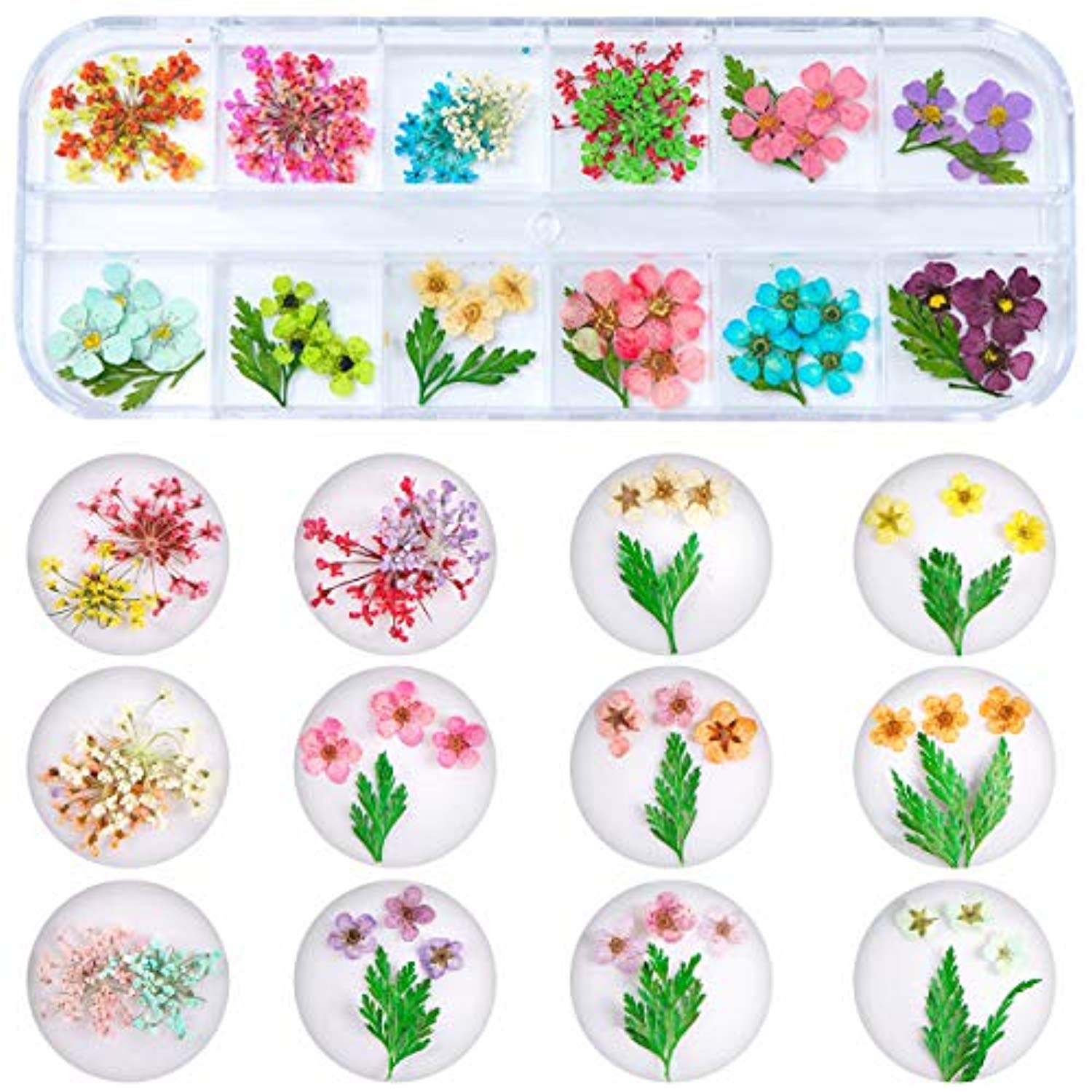 2 Boxes Dried Flowers (24 Colors) (Real Natural Flowers)-JAYDEN- Nail Supply American Gel Polish - Phuong Ni