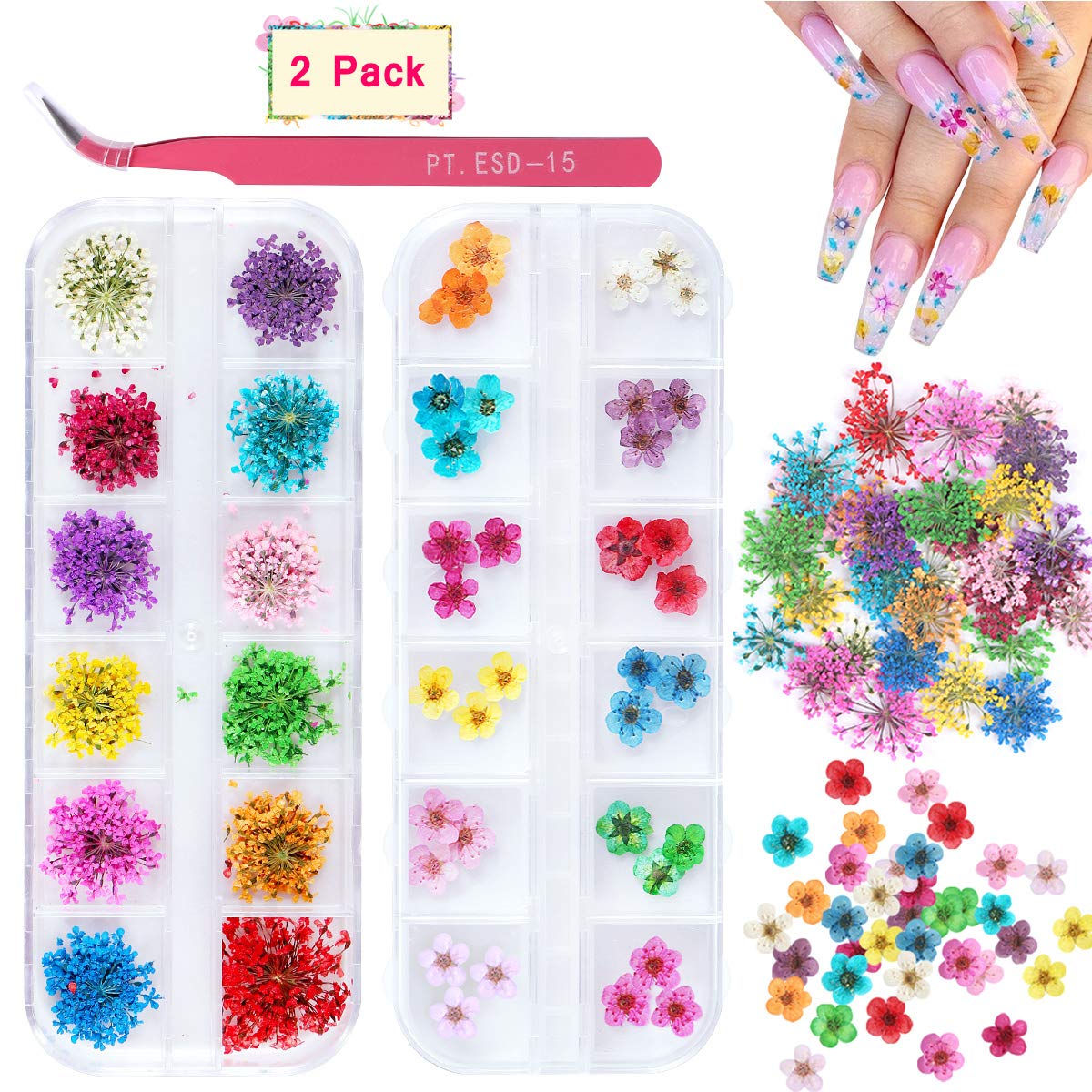 2 Boxes Dried Flowers (24 Colors) (Real Natural Flowers)-JAYDEN-Flowers Gypsophila- Nail Supply American Gel Polish - Phuong Ni