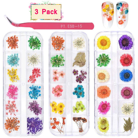 2 Boxes Dried Flowers (24 Colors) (Real Natural Flowers)-JAYDEN-Flowers Gypsophila Daisy- Nail Supply American Gel Polish - Phuong Ni