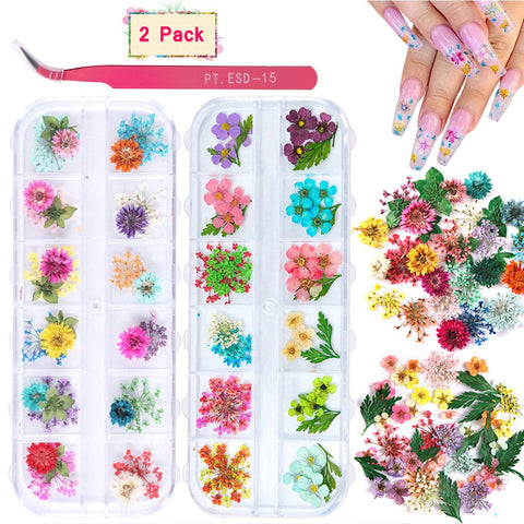 2 Boxes Dried Flowers (24 Colors) (Real Natural Flowers)-JAYDEN-Gypsophila Flowers Leaves- Nail Supply American Gel Polish - Phuong Ni