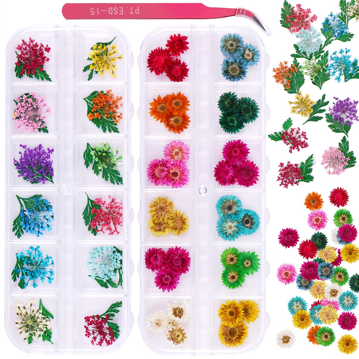 2 Boxes Dried Flowers (24 Colors) (Real Natural Flowers)-JAYDEN-Gypsophila Leaves Daisy- Nail Supply American Gel Polish - Phuong Ni