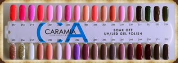 Caramia Duo Gel & Lacquer 232-Nails Deal & Beauty Supply- Nail Supply American Gel Polish - Phuong Ni