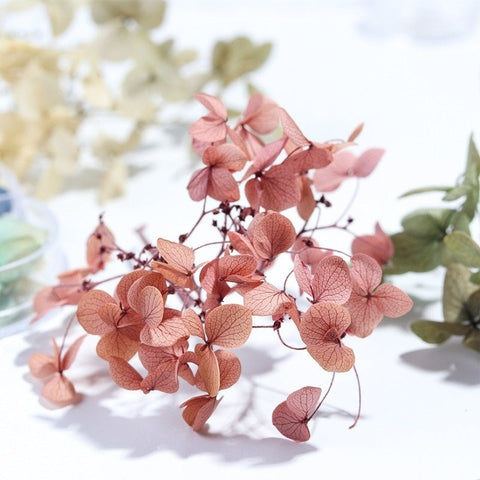 Dried Flowers Leaf Nail Art (50pcs)-JAYDEN-01- Nail Supply American Gel Polish - Phuong Ni