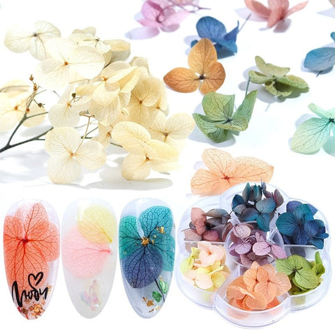 Dried Flowers Leaf Nail Art (50pcs)-JAYDEN- Nail Supply American Gel Polish - Phuong Ni