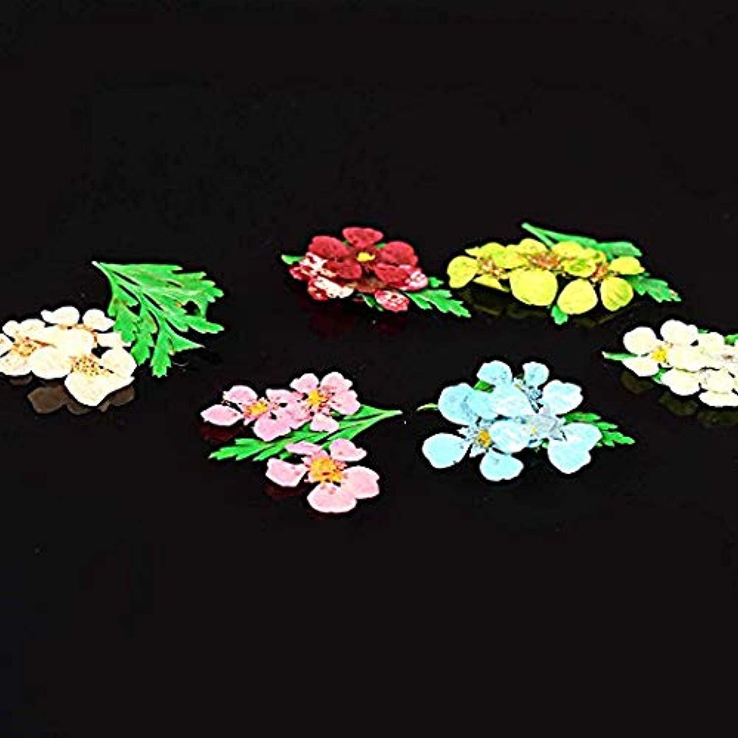 Nail Art Design - Set of 12 Color Nail Dried Flowers-Jayden- Nail Supply American Gel Polish - Phuong Ni